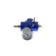 Fuel Pressure Regulator - Economy