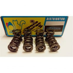 Cat Cams LADA Valve Spring set