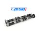 Cat Cams  Alfa Romeo  Giulia / Giulietta / GTV / Sprint - Hot Street / Dirt Track Camshaft 1.6L 8V NORD - 1030241/S