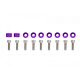 Universal Screw M8x1.25 25mm JDM Purple