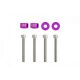 Universal Screw M6x1.0 45mm JDM Purple