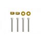 Universal Screw M6x1.0 45mm JDM Gold