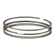 Total Seal Piston Ring Set Gapless TOP 79,50mm