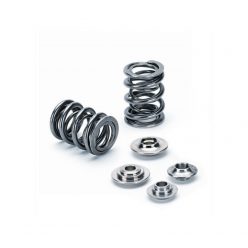   Supertech Ford/Mazda 2.0L/2.3L Dual Valve Spring and Titanium Retainer Kit - SPK-TS/DUR-DS