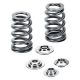 Supertech Ford Ecoboost 2.0L/2.3L Single Conical Valve Spring and Titanium Retainer Kit (Use with OEM Retainer and OEM Seat) SPRK-FE20BE   (conical)