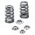 Supertech Ford 2.0L/2.3L Ecoboost Single Conical Valve Spring and Titanium Retainer Kit - SPRK-FE20BE (conical)