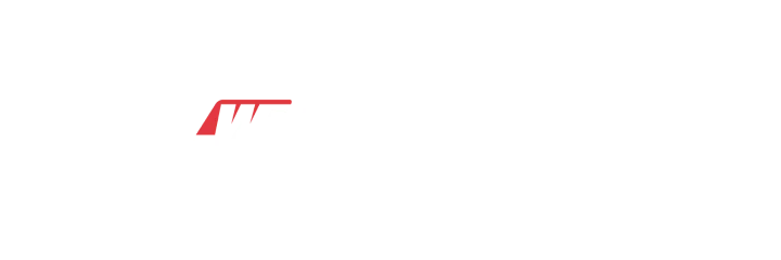Wiseco logo